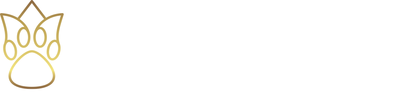 Спакотики